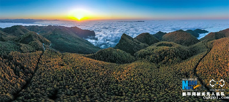 【“飞阅”中国】视觉盛宴！重庆梨子坪万亩落叶松染秋色