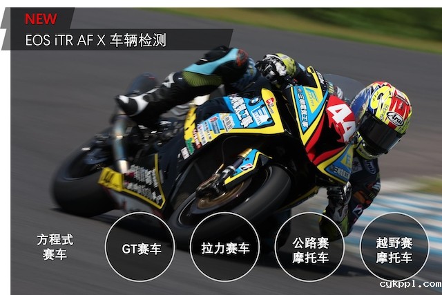 佳能发布全画幅专微 EOS R3 佳能发布全画幅专微 EOS R3