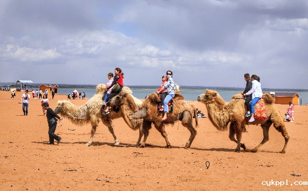 金镜头征稿｜“神奇神木”杯人民摄影“ 金镜头”（2021 年度）新闻摄影作品评选启动