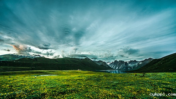 陈刚 一个财经学者的摄影视角
