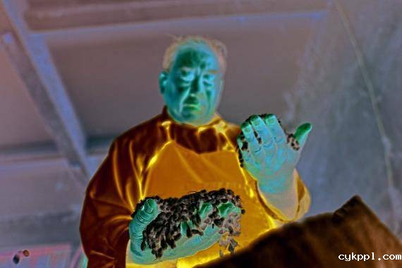 “候鸟”棉痴赵国忠