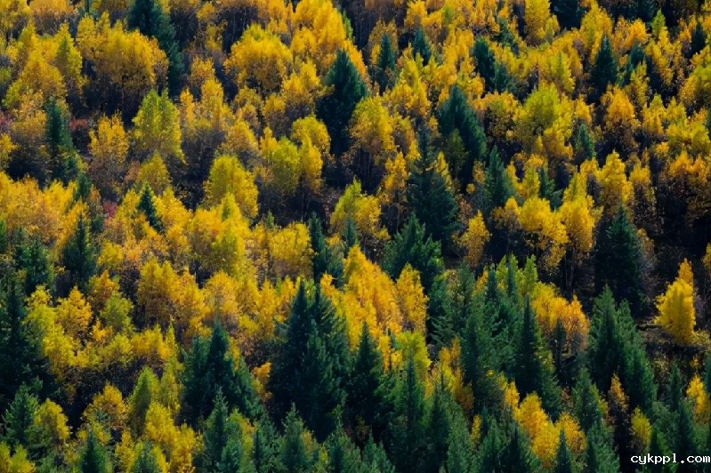 永远在路上 摄影家王建军谈索尼70200GM2使用感受