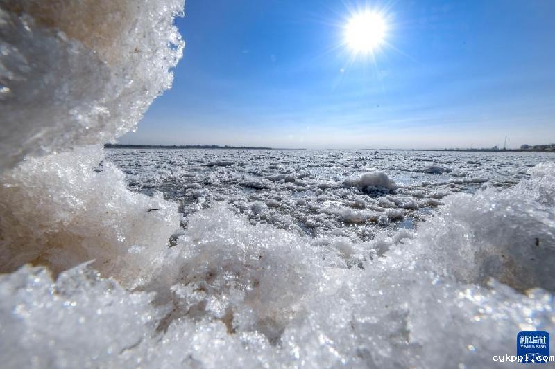 黄河宁夏段出现流凌