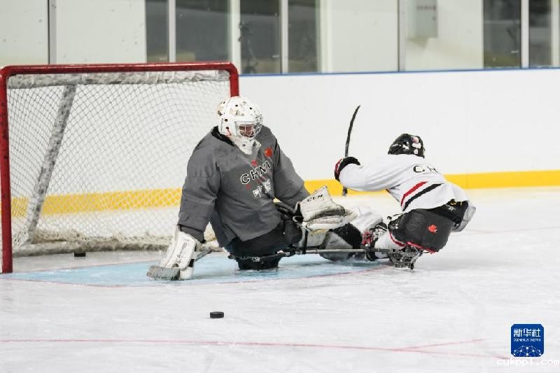 冰壶队、冰球队备战北京冬残奥会