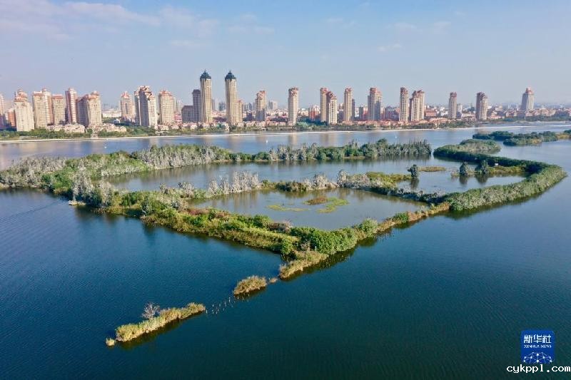 厦门经济特区40周年——俯瞰厦门 四十如画