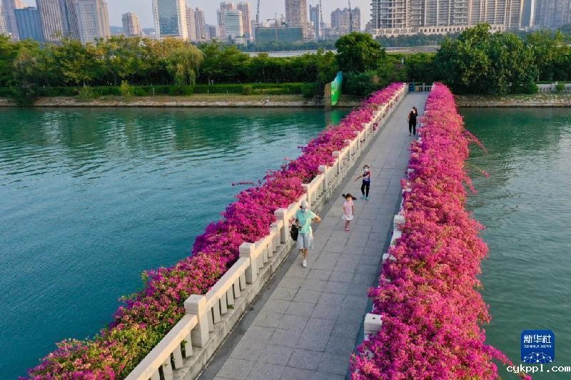 厦门经济特区40周年——俯瞰厦门 四十如画