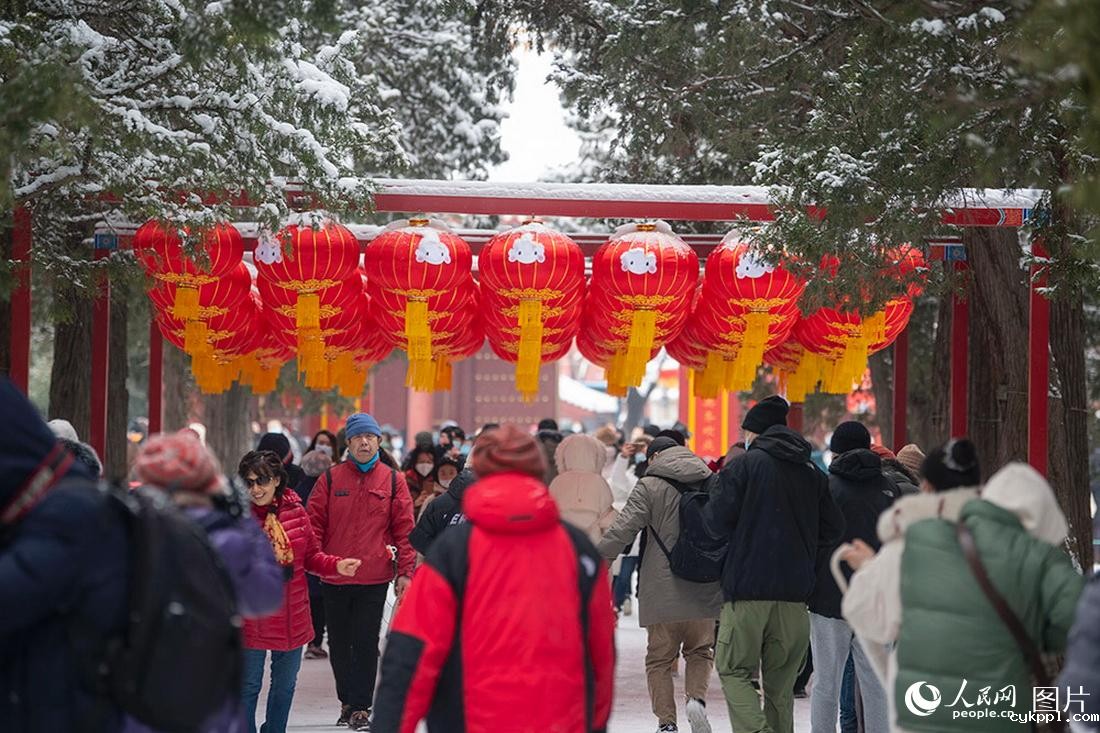 2月13日，在景山公园，被白雪覆盖的红灯笼犹如“雪容融”。人民网记者翁奇羽摄