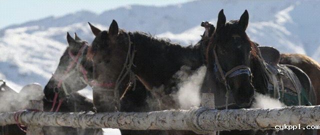 刘湘晨和FX6的创作故事：纪录片美学所需的技术条件