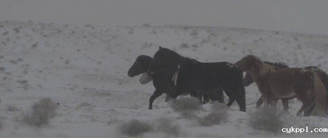 刘湘晨和FX6的创作故事：纪录片美学所需的技术条件