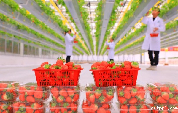 “中国银行杯”全国经济新闻摄影作品征集开始啦! “中国银行杯”全国经济新闻摄影作品征集开始啦!