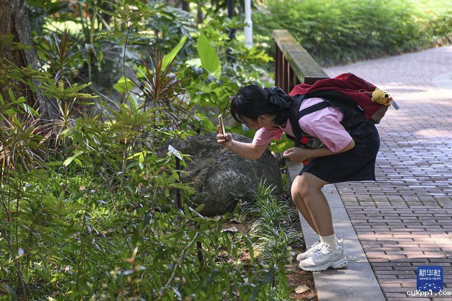足不出户 跟随摄影镜头看各地假日游园