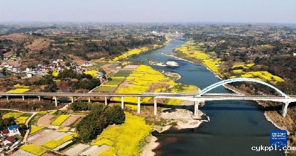 穿越花海的列车