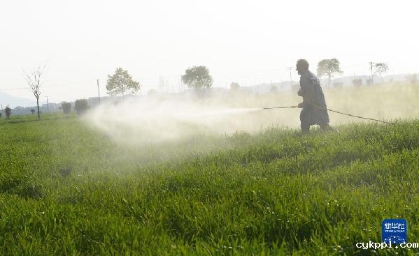 忙碌在希望的田野上