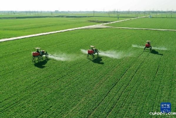 忙碌在希望的田野上