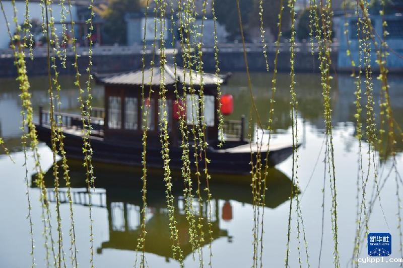 春天的“乐谱”