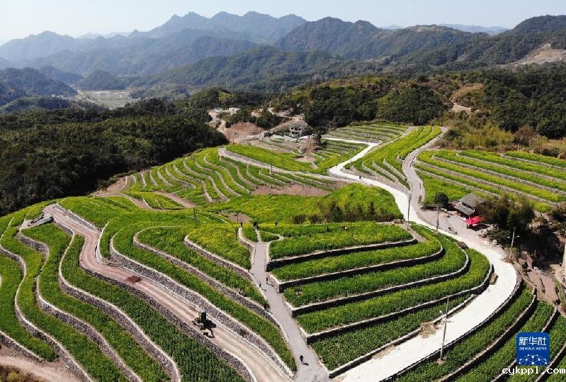 春天的“乐谱”