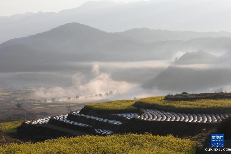 春天的“乐谱”