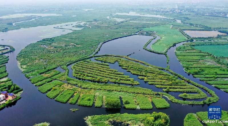 奋进新征程 建功新时代·伟大变革|从“深圳速度”到“雄安质量”——雄安新区建设一线采访记