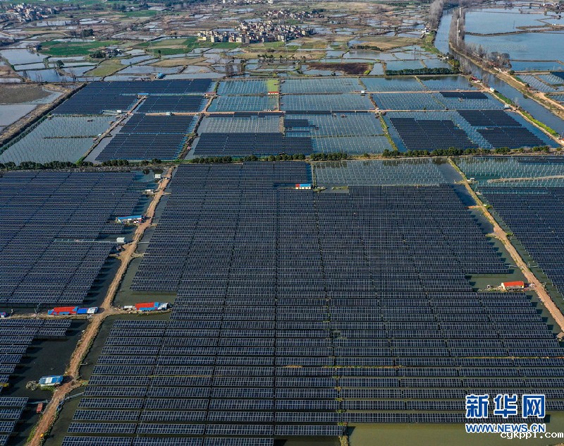 【“飞阅“中国】“渔光互补”好春光