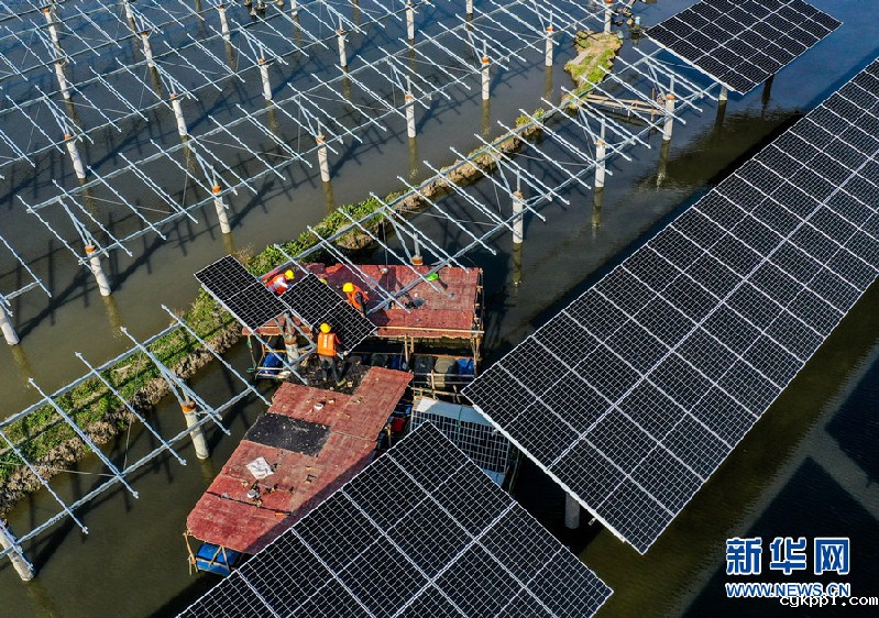 【“飞阅“中国】“渔光互补”好春光