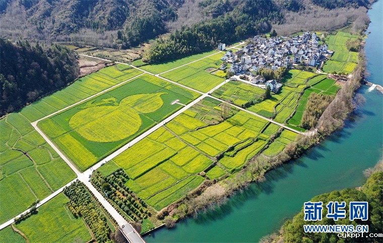 “葫芦”花海秀春光