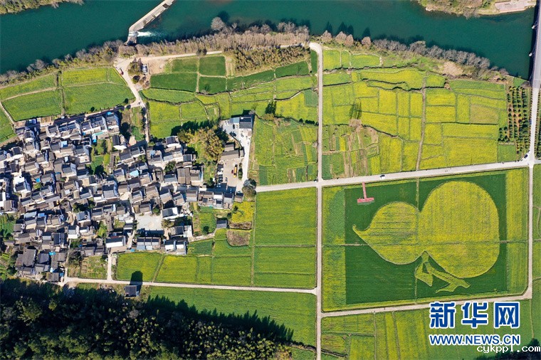 “葫芦”花海秀春光