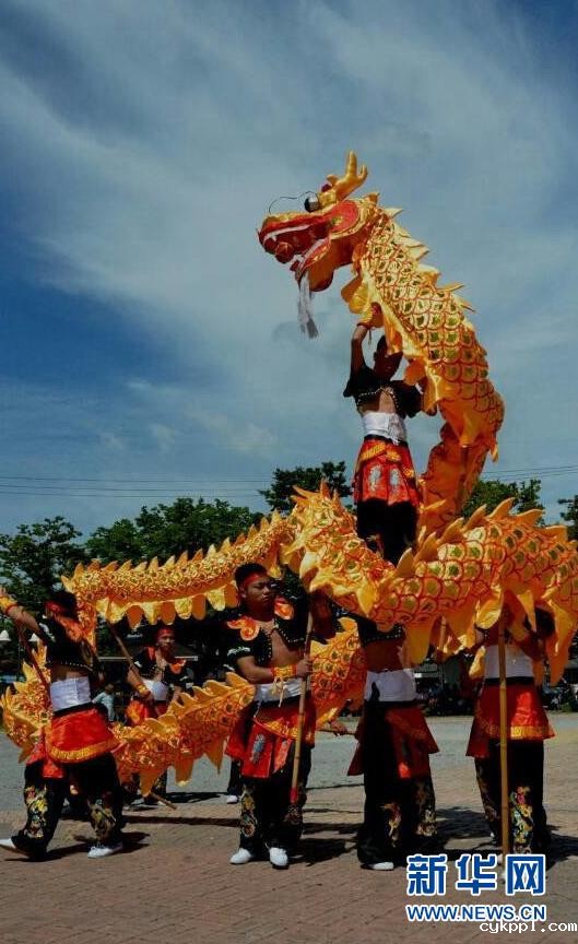 火龙灯舞：火树银花迸发的视觉盛宴