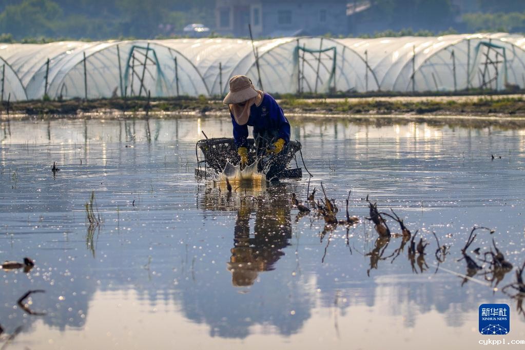 春忙如画 春忙如画