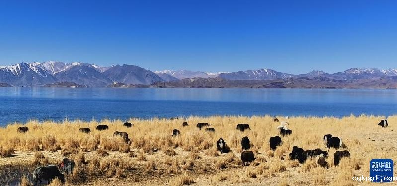 新华全媒＋丨西陲明珠班公湖