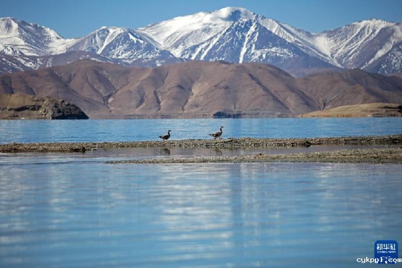 新华全媒＋丨西陲明珠班公湖