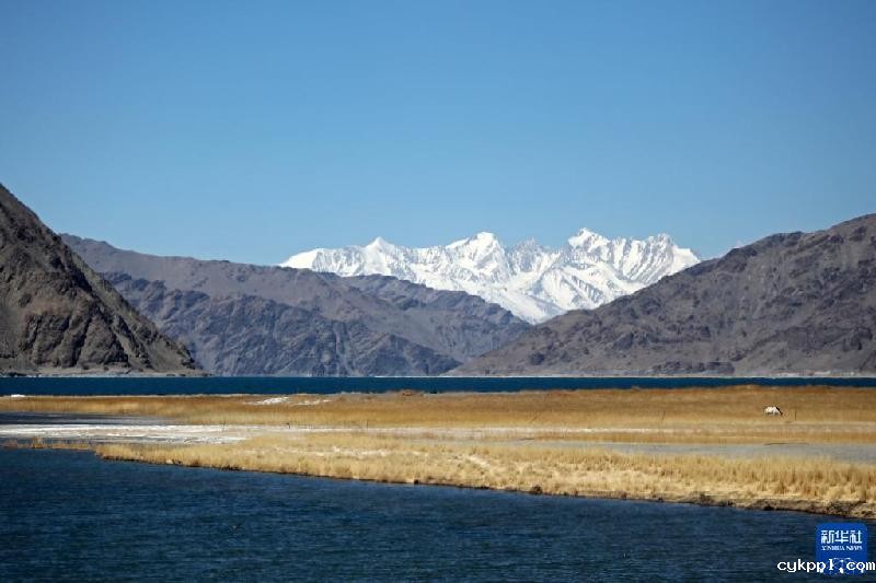 新华全媒＋丨西陲明珠班公湖