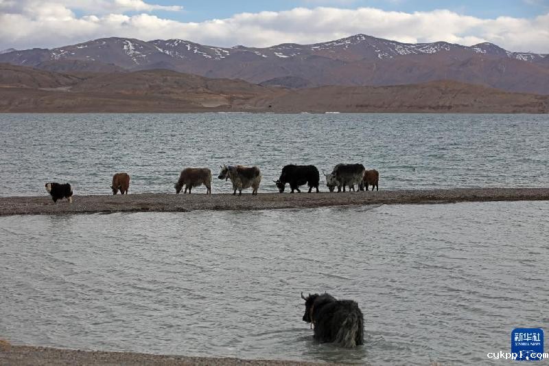 新华全媒＋丨西陲明珠班公湖