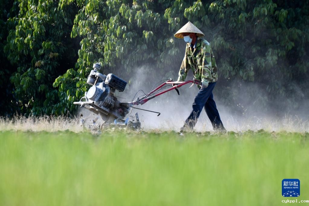 新华全媒+丨大地调色板 俯瞰春耕如画