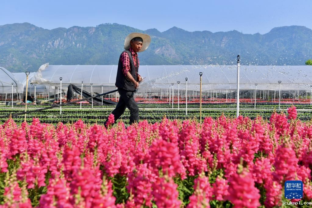 新华全媒+丨大地调色板 俯瞰春耕如画