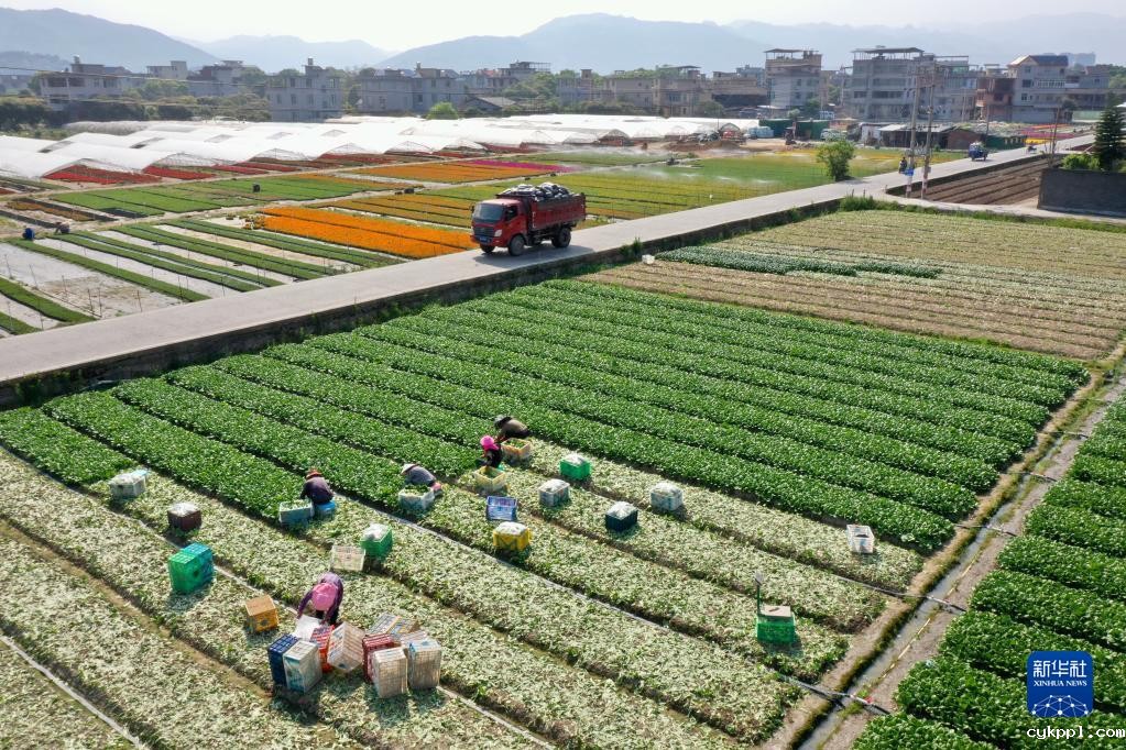 新华全媒+丨大地调色板 俯瞰春耕如画