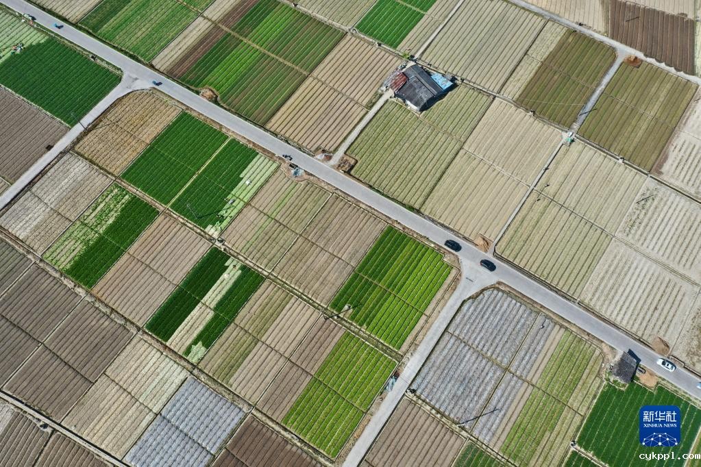 新华全媒+丨大地调色板 俯瞰春耕如画
