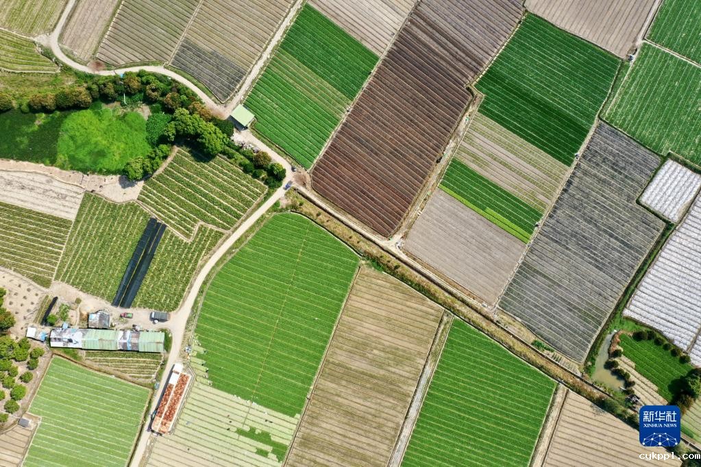 新华全媒+丨大地调色板 俯瞰春耕如画