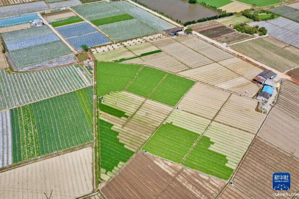 新华全媒+丨大地调色板 俯瞰春耕如画