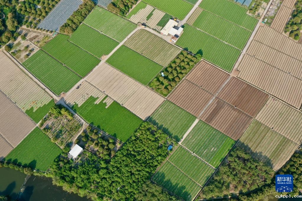 新华全媒+丨大地调色板 俯瞰春耕如画