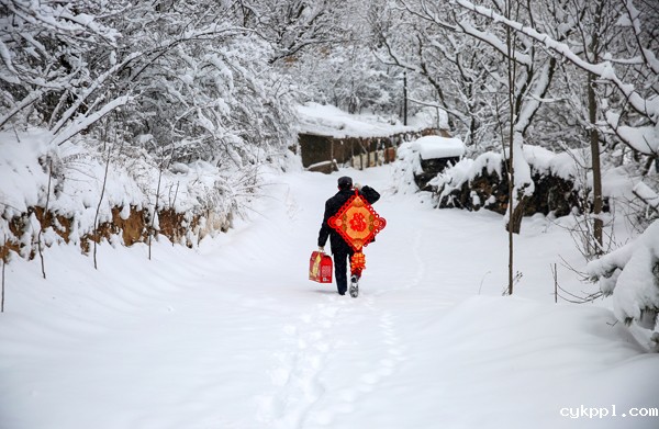 2022年旺旺杯“春节七天乐”新闻摄影征集活动定评会举行 2022年旺旺杯“春节七天乐”新闻摄影征集活动定评会举行