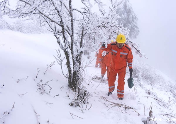 2022年旺旺杯“春节七天乐”新闻摄影征集活动定评会举行 2022年旺旺杯“春节七天乐”新闻摄影征集活动定评会举行