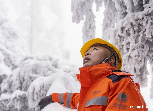 2022年旺旺杯“春节七天乐”新闻摄影征集活动定评会举行 2022年旺旺杯“春节七天乐”新闻摄影征集活动定评会举行