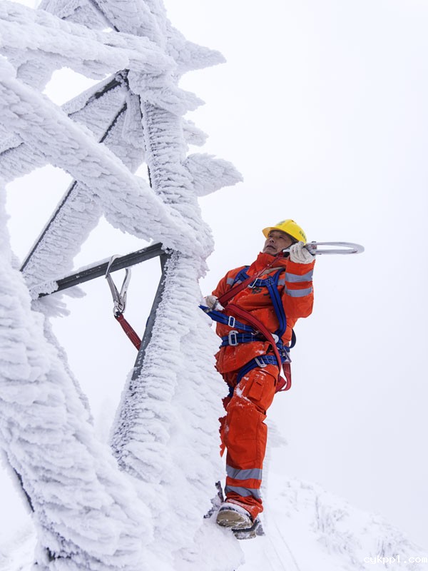 2022年旺旺杯“春节七天乐”新闻摄影征集活动定评会举行 2022年旺旺杯“春节七天乐”新闻摄影征集活动定评会举行