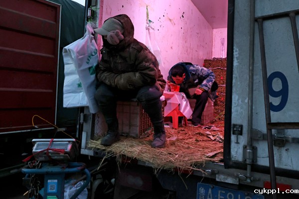 2022年旺旺杯“春节七天乐”新闻摄影征集活动定评会举行 2022年旺旺杯“春节七天乐”新闻摄影征集活动定评会举行