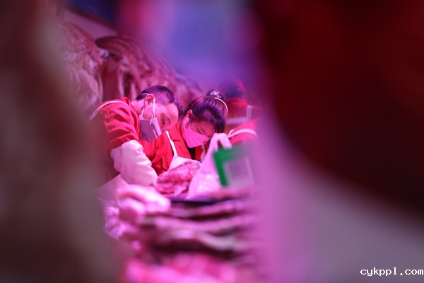 2022年旺旺杯“春节七天乐”新闻摄影征集活动定评会举行 2022年旺旺杯“春节七天乐”新闻摄影征集活动定评会举行