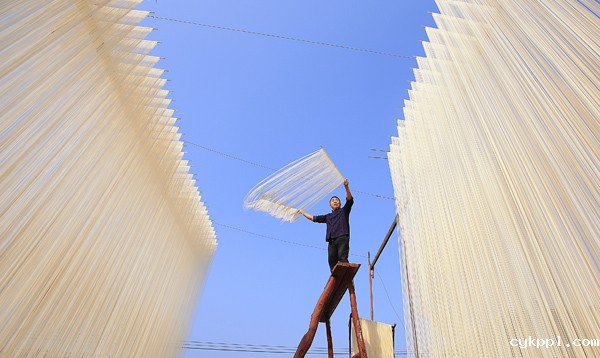 2022年旺旺杯“春节七天乐”新闻摄影征集活动定评会举行 2022年旺旺杯“春节七天乐”新闻摄影征集活动定评会举行