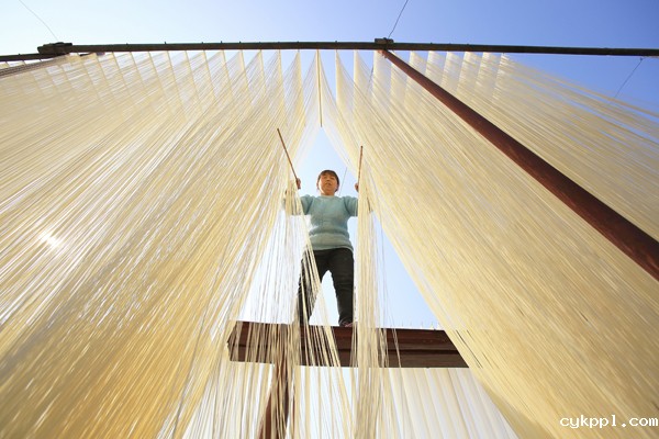 2022年旺旺杯“春节七天乐”新闻摄影征集活动定评会举行 2022年旺旺杯“春节七天乐”新闻摄影征集活动定评会举行