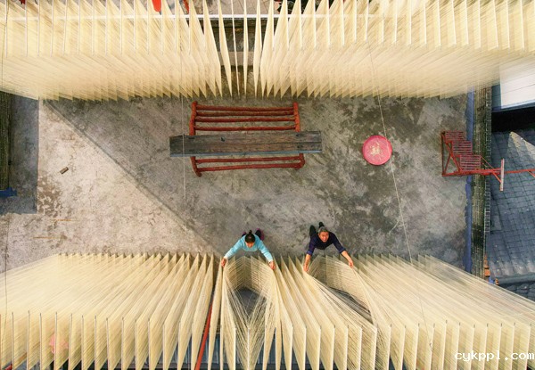 2022年旺旺杯“春节七天乐”新闻摄影征集活动定评会举行 2022年旺旺杯“春节七天乐”新闻摄影征集活动定评会举行