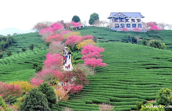 2022年旺旺杯“春节七天乐”新闻摄影征集活动定评会举行 2022年旺旺杯“春节七天乐”新闻摄影征集活动定评会举行