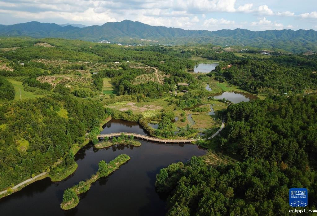 “清新福建”的新“碳”索